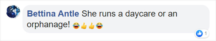 This Goose Couple Is Taking Care Of 47 Adorable Baby Goslings