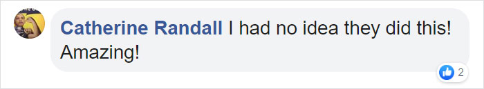 This Goose Couple Is Taking Care Of 47 Adorable Baby Goslings