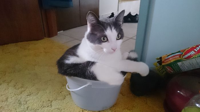 ... Not Sure Why ...