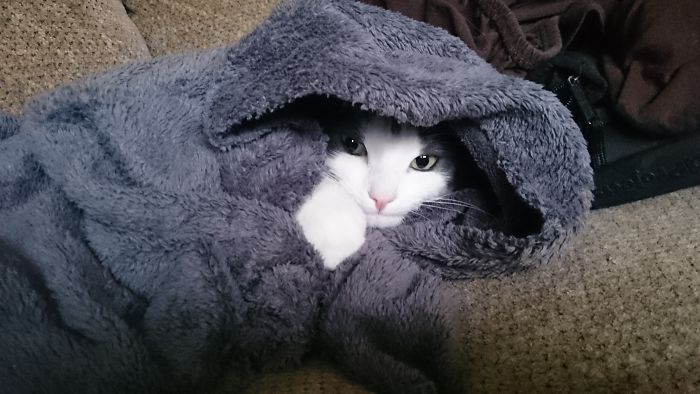 The Force Is Strong With This One