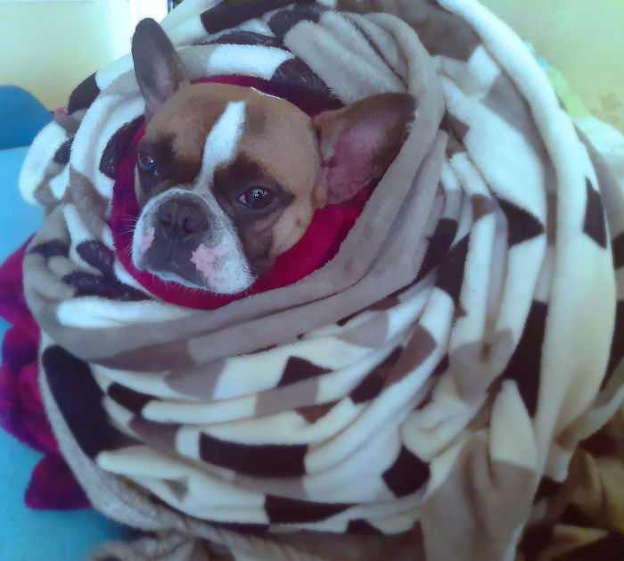 Every Day We Stray Further From God