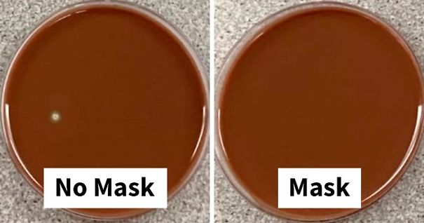 no-mask-vs-mask-experiment-rich-davis-fb40-png__700-1.jpg