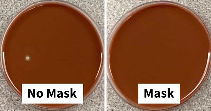 Scientist Demonstrates The Effect Of Wearing A Mask Vs. Not Wearing One
