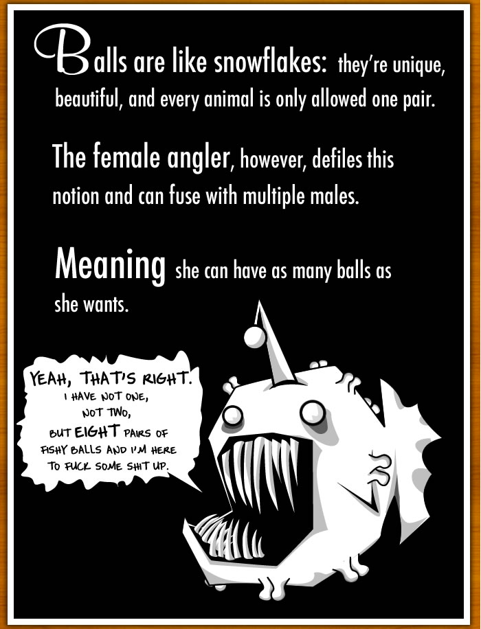 How The Male Angler Fish Gets Completely Screwed