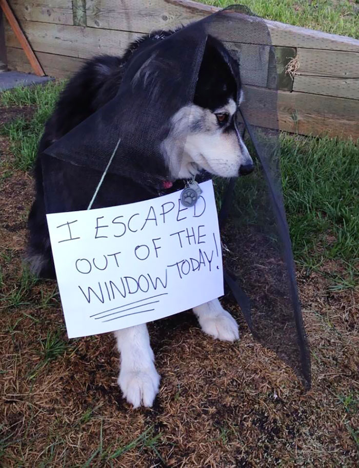 Mizzy’s Yearly Reminder Every Time This Photo Pops Up Again