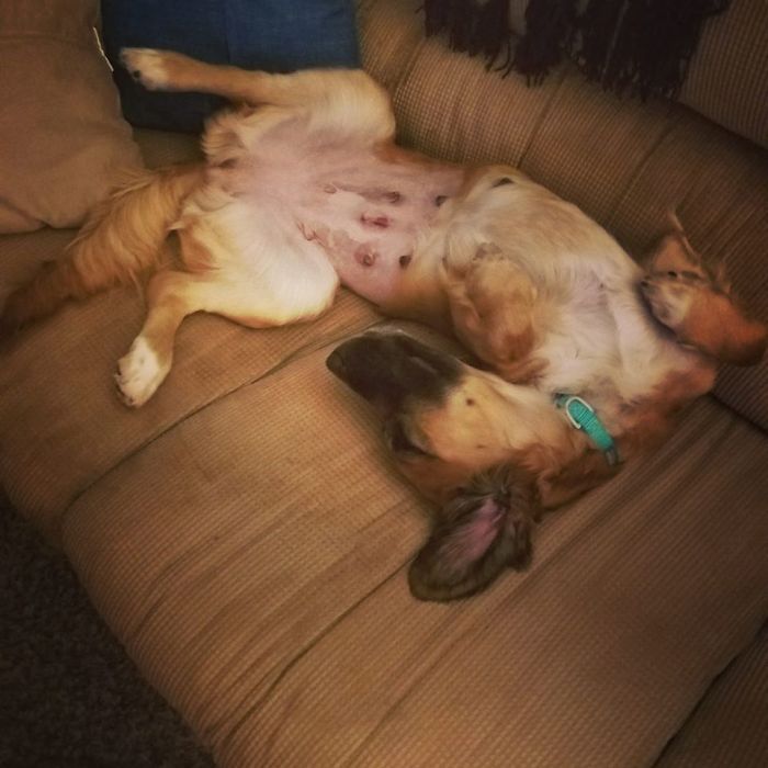 Literally The Day I Got My Adopted Child