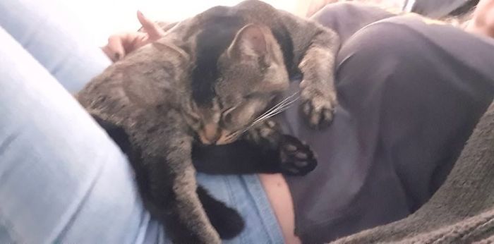 They Said He Might Need Time To Get Used To Us... It Took Him 10mins