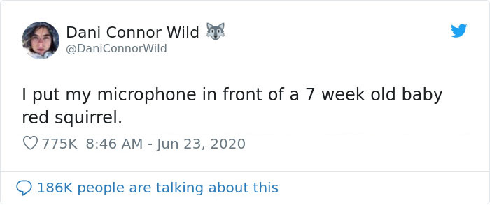 Photographer Puts Her Mic In Front Of A Baby Squirrel, And Its Adorable Munching Sounds Get Over 12M Views Photographer Puts Her Mic In Front Of A Baby Squirrel, And Its Adorable Munching Sounds Get Over 12M Views