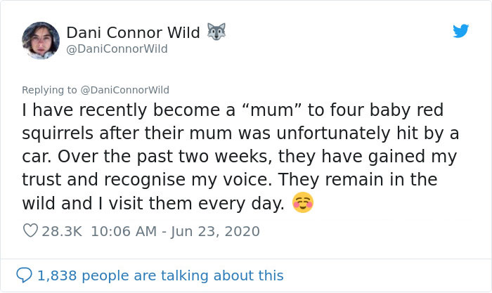 Photographer Puts Her Mic In Front Of A Baby Squirrel, And Its Adorable Munching Sounds Get Over 12M Views Photographer Puts Her Mic In Front Of A Baby Squirrel, And Its Adorable Munching Sounds Get Over 12M Views