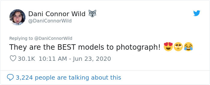 Photographer Puts Her Mic In Front Of A Baby Squirrel, And Its Adorable Munching Sounds Get Over 12M Views Photographer Puts Her Mic In Front Of A Baby Squirrel, And Its Adorable Munching Sounds Get Over 12M Views