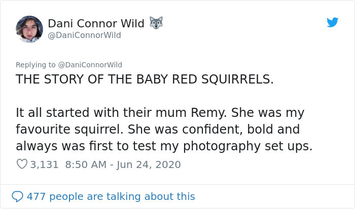 Photographer Puts Her Mic In Front Of A Baby Squirrel, And Its Adorable Munching Sounds Get Over 12M Views Photographer Puts Her Mic In Front Of A Baby Squirrel, And Its Adorable Munching Sounds Get Over 12M Views
