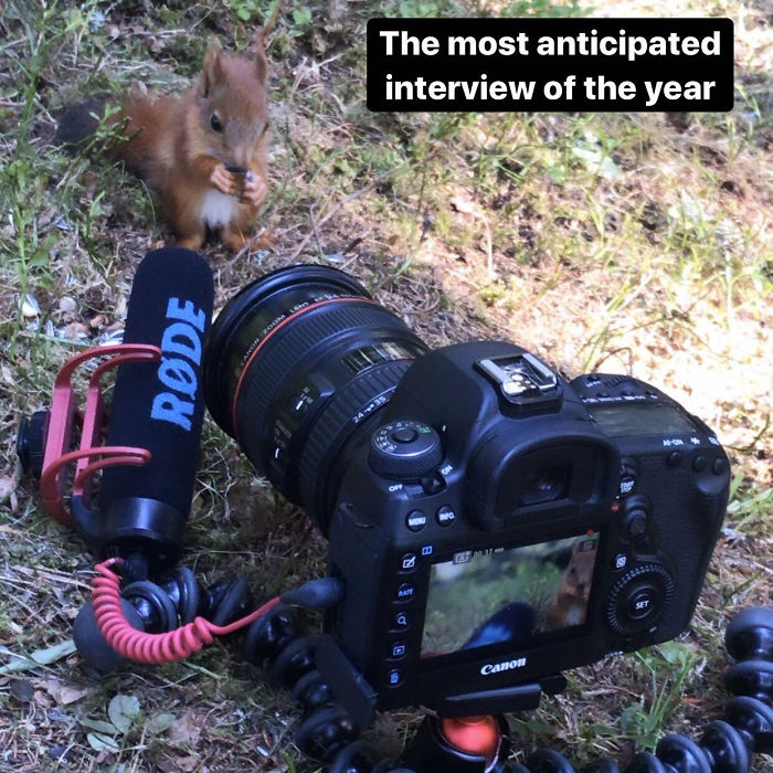 Photographer Puts Her Mic In Front Of A Baby Squirrel, And Its Adorable Munching Sounds Get Over 12M Views Photographer Puts Her Mic In Front Of A Baby Squirrel, And Its Adorable Munching Sounds Get Over 12M Views