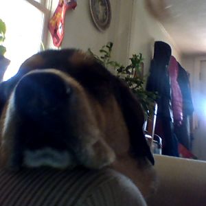 ursulahomestead avatar