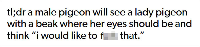 Scientists Share A Pigeon Facial Recognition Study, Tumblr User Summarizes It With A Hilarious Explanation Scientists Share A Pigeon Facial Recognition Study, Tumblr User Summarizes It With A Hilarious Explanation