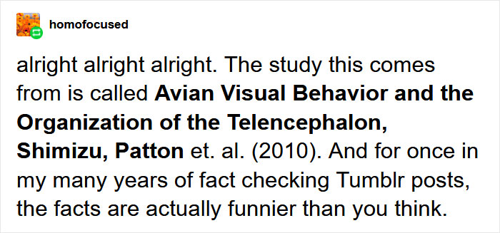Scientists Share A Pigeon Facial Recognition Study, Tumblr User Summarizes It With A Hilarious Explanation Scientists Share A Pigeon Facial Recognition Study, Tumblr User Summarizes It With A Hilarious Explanation
