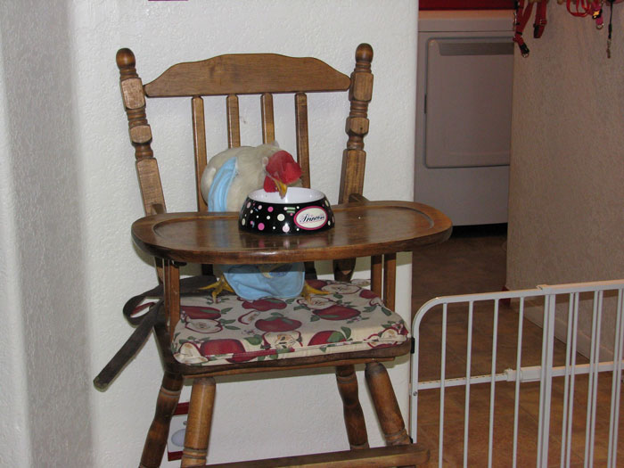 Apparently, You Can Buy Arms For Your Chicken Apparently, You Can Buy Arms For Your Chicken