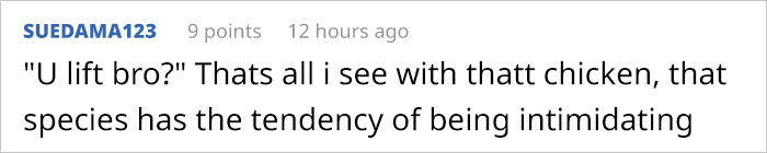 Apparently, You Can Buy Arms For Your Chicken