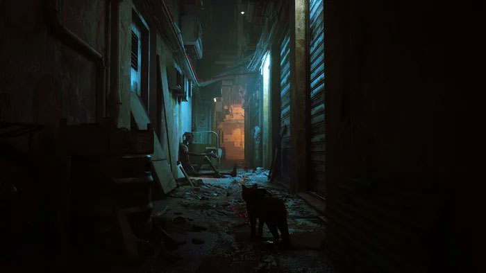 New PS5 Game 'Stray' Lets You Be A Cat In A Neon-Lit Cybercity And Solve Mysteries In It New PS5 Game 'Stray' Lets You Be A Cat In A Neon-Lit Cybercity And Solve Mysteries In It