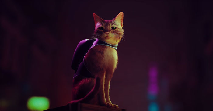 New PS5 Game 'Stray' Lets You Be A Cat In A Neon-Lit Cybercity And Solve Mysteries In It New PS5 Game 'Stray' Lets You Be A Cat In A Neon-Lit Cybercity And Solve Mysteries In It