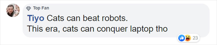 New PS5 Game 'Stray' Lets You Be A Cat In A Neon-Lit Cybercity And Solve Mysteries In It New PS5 Game 'Stray' Lets You Be A Cat In A Neon-Lit Cybercity And Solve Mysteries In It