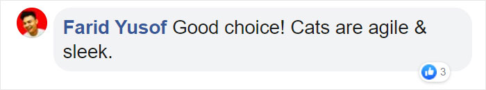 New PS5 Game 'Stray' Lets You Be A Cat In A Neon-Lit Cybercity And Solve Mysteries In It New PS5 Game 'Stray' Lets You Be A Cat In A Neon-Lit Cybercity And Solve Mysteries In It