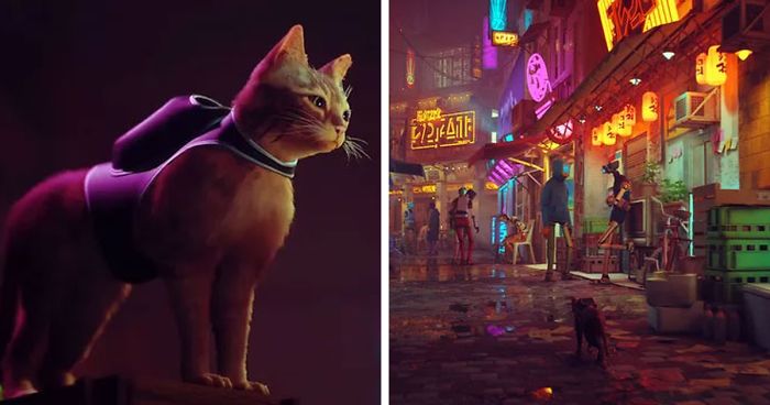 New PS5 Game ‘Stray’ Lets You Be A Cat In A Neon-Lit Cybercity And Solve Mysteries In It