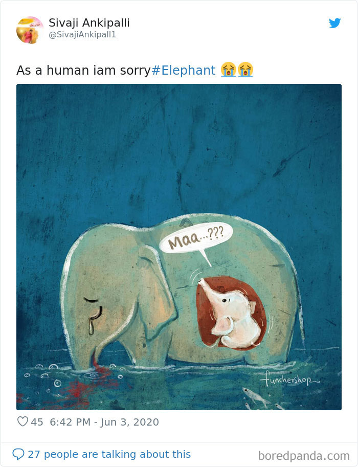 Pregnant-Elephant-Dies-Eats-Pineapple-Filled-With-Firecrackers-Artists-Pay-Tribute