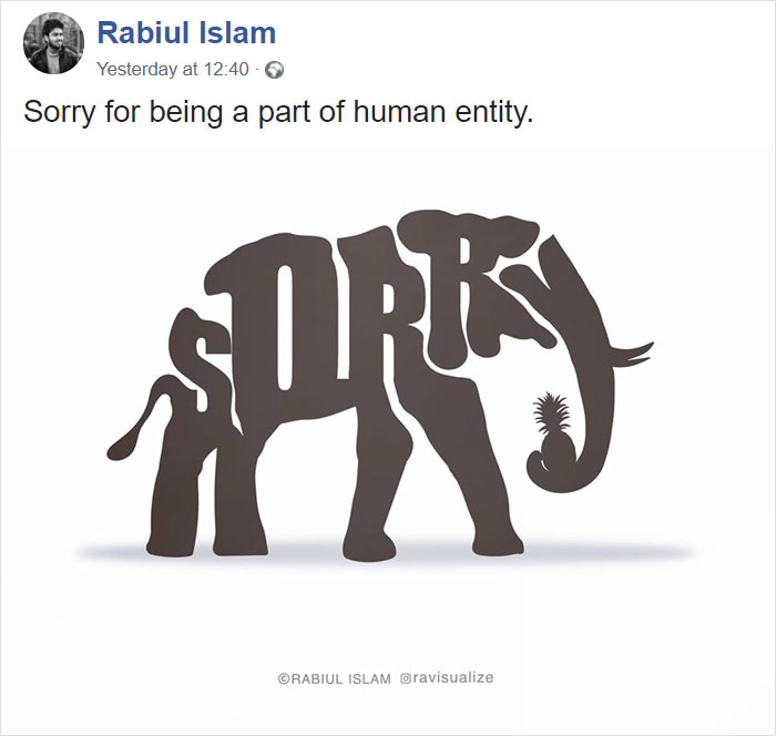 Pregnant-Elephant-Dies-Eats-Pineapple-Filled-With-Firecrackers-Artists-Pay-Tribute