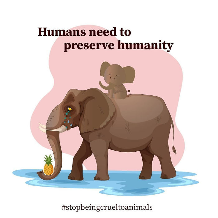 Pregnant-Elephant-Dies-Eats-Pineapple-Filled-With-Firecrackers-Artists-Pay-Tribute