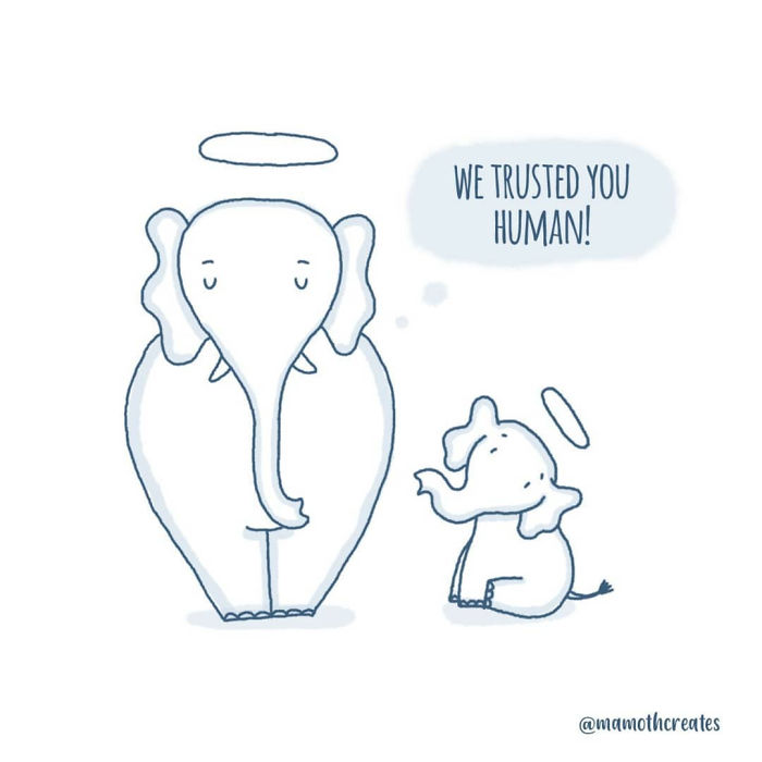 Pregnant-Elephant-Dies-Eats-Pineapple-Filled-With-Firecrackers-Artists-Pay-Tribute