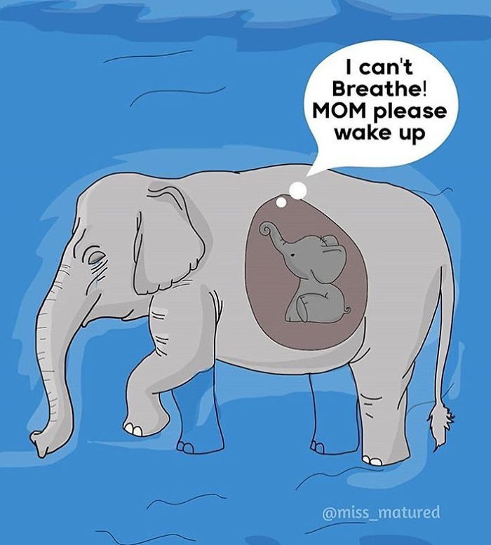 Pregnant-Elephant-Dies-Eats-Pineapple-Filled-With-Firecrackers-Artists-Pay-Tribute