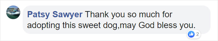 Dog Hugs A Reporter Visiting A Shelter To Do A Story Until He, Allegedly, Decides To Adopt Her Dog Hugs A Reporter Visiting A Shelter To Do A Story Until He, Allegedly, Decides To Adopt Her