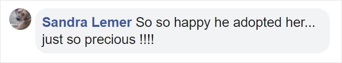 Dog Hugs A Reporter Visiting A Shelter To Do A Story Until He, Allegedly, Decides To Adopt Her Dog Hugs A Reporter Visiting A Shelter To Do A Story Until He, Allegedly, Decides To Adopt Her