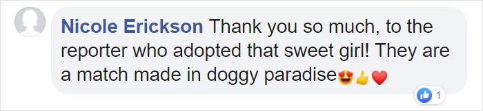 Dog Hugs A Reporter Visiting A Shelter To Do A Story Until He, Allegedly, Decides To Adopt Her Dog Hugs A Reporter Visiting A Shelter To Do A Story Until He, Allegedly, Decides To Adopt Her