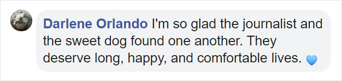 Dog Hugs A Reporter Visiting A Shelter To Do A Story Until He, Allegedly, Decides To Adopt Her Dog Hugs A Reporter Visiting A Shelter To Do A Story Until He, Allegedly, Decides To Adopt Her