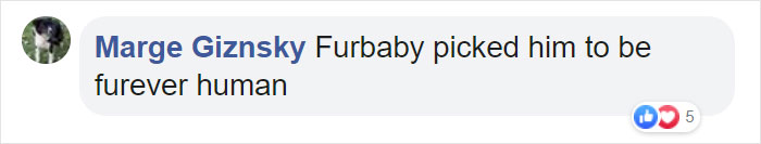 Dog Hugs A Reporter Visiting A Shelter To Do A Story Until He, Allegedly, Decides To Adopt Her Dog Hugs A Reporter Visiting A Shelter To Do A Story Until He, Allegedly, Decides To Adopt Her