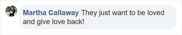 Dog Hugs A Reporter Visiting A Shelter To Do A Story Until He, Allegedly, Decides To Adopt Her Dog Hugs A Reporter Visiting A Shelter To Do A Story Until He, Allegedly, Decides To Adopt Her