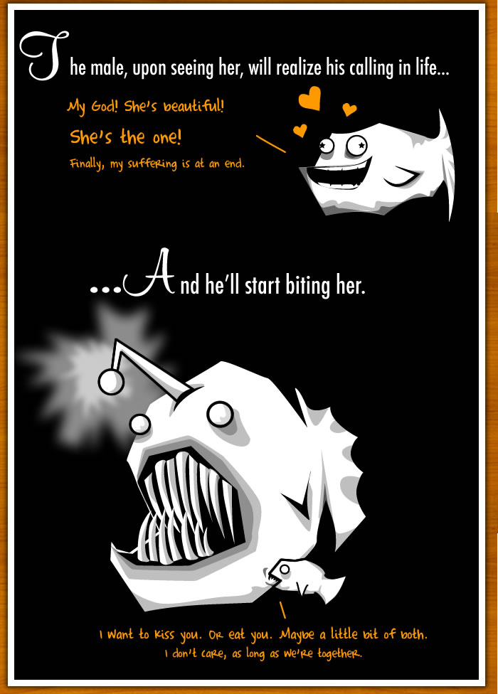 How The Male Angler Fish Gets Completely Screwed