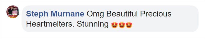 Cat With Split-Colored Face Becomes A Father To Kittens In Each Of His Colors