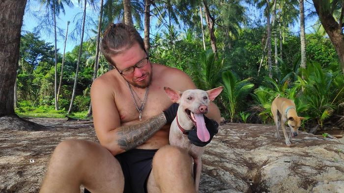 Couple Moves To Thai Island, Adopts 15 Strays After Losing Their Beloved 10 Y.O. Doggo