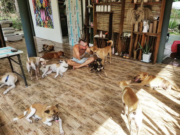 Couple Moves To Thai Island, Adopts 15 Strays After Losing Their Beloved 10 Y.O. Doggo