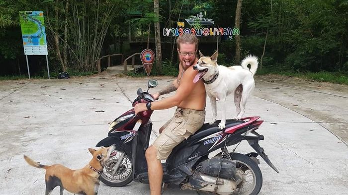 Couple Moves To Thai Island, Adopts 15 Strays After Losing Their Beloved 10 Y.O. Doggo Couple Moves To Thai Island, Adopts 15 Strays After Losing Their Beloved 10 Y.O. Doggo