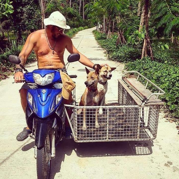 Couple Moves To Thai Island, Adopts 15 Strays After Losing Their Beloved 10 Y.O. Doggo Couple Moves To Thai Island, Adopts 15 Strays After Losing Their Beloved 10 Y.O. Doggo