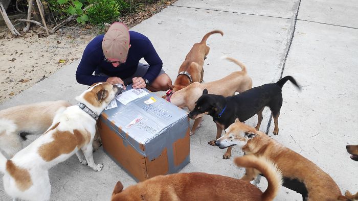 Couple Moves To Thai Island, Adopts 15 Strays After Losing Their Beloved 10 Y.O. Doggo Couple Moves To Thai Island, Adopts 15 Strays After Losing Their Beloved 10 Y.O. Doggo