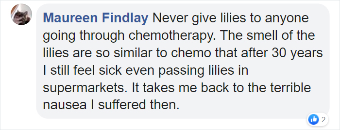 Woman Almost Accidentally Kills Her Cat After It Plays With Lilies, Warns Others About Its Danger