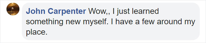 Woman Almost Accidentally Kills Her Cat After It Plays With Lilies, Warns Others About Its Danger Woman Almost Accidentally Kills Her Cat After It Plays With Lilies, Warns Others About Its Danger