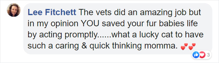 Woman Almost Accidentally Kills Her Cat After It Plays With Lilies, Warns Others About Its Danger