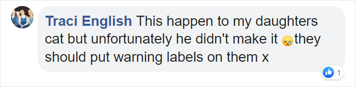 Woman Almost Accidentally Kills Her Cat After It Plays With Lilies, Warns Others About Its Danger