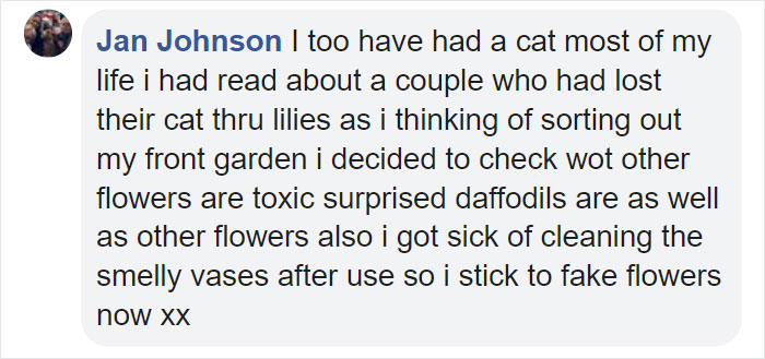Woman Almost Accidentally Kills Her Cat After It Plays With Lilies, Warns Others About Its Danger