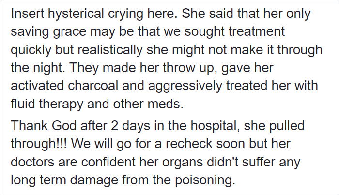 Woman Almost Accidentally Kills Her Cat After It Plays With Lilies, Warns Others About Its Danger